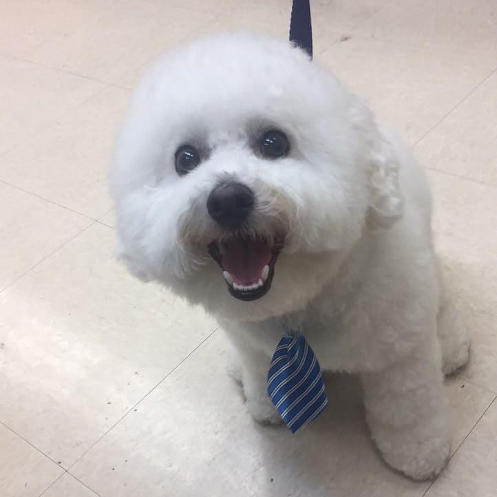 31098020_1110544102448909_5698643362307899392_n