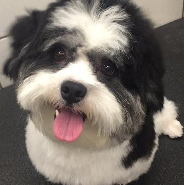 31103642_2054702891450303_2420059602797199360_n