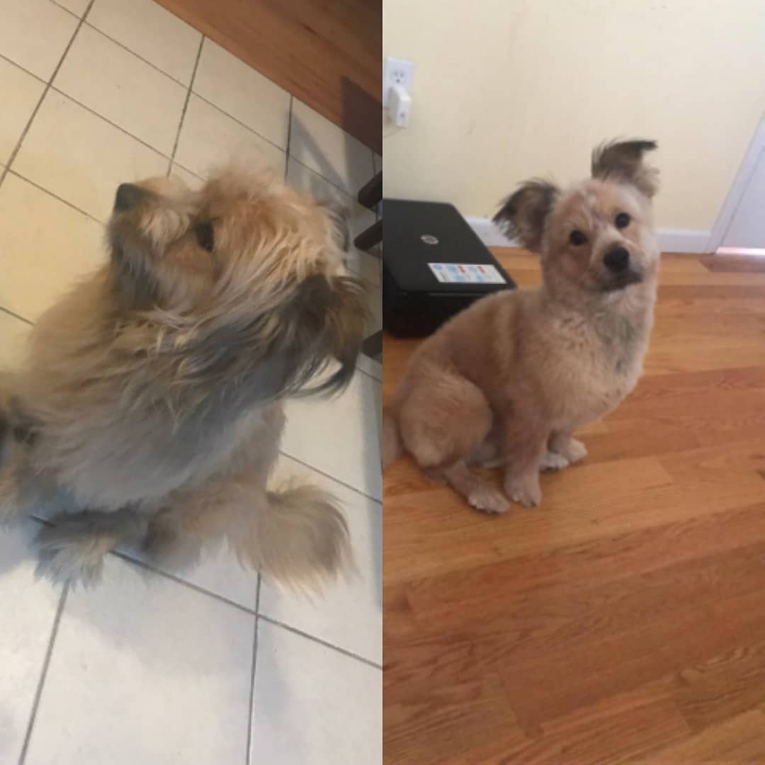 35999729_204322786883451_4057921007187394560_n