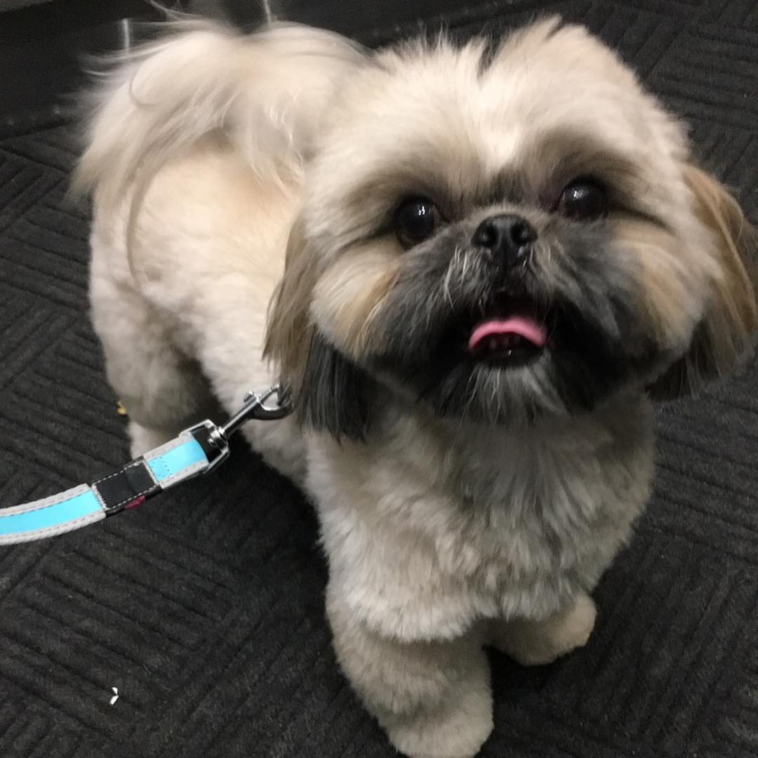 55829752_308863899782590_4686590108769977912_n