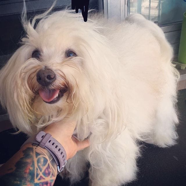 62536344_228628758101736_1437899873452813205_n